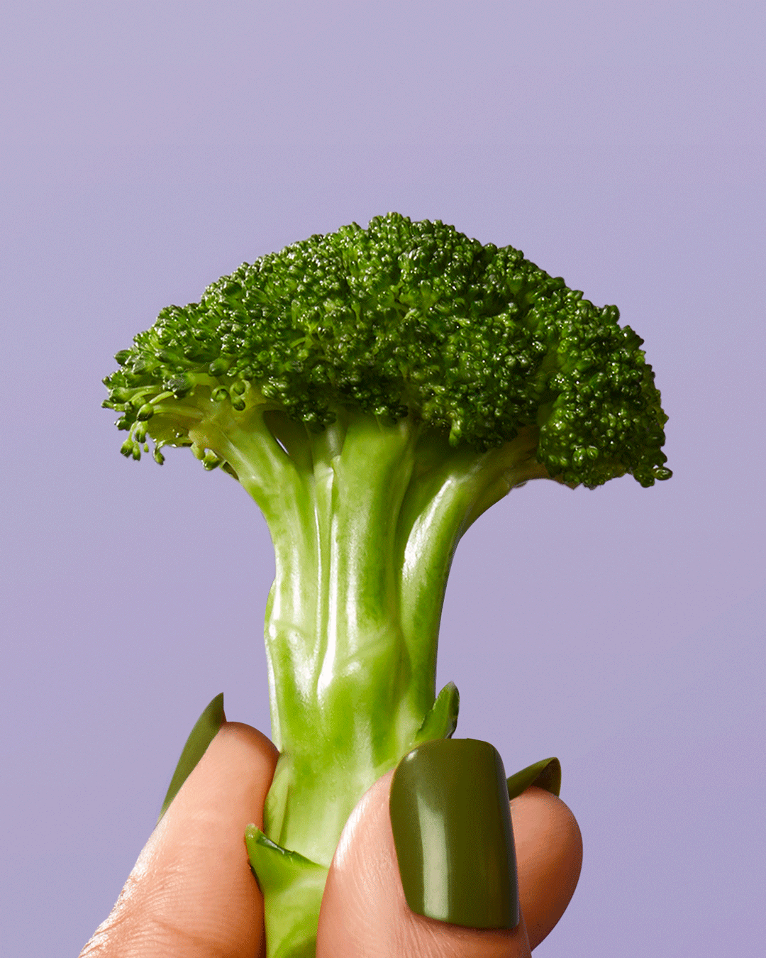 Conceptual-Food-Photographer-Lisa-Predko-420-Broccoli